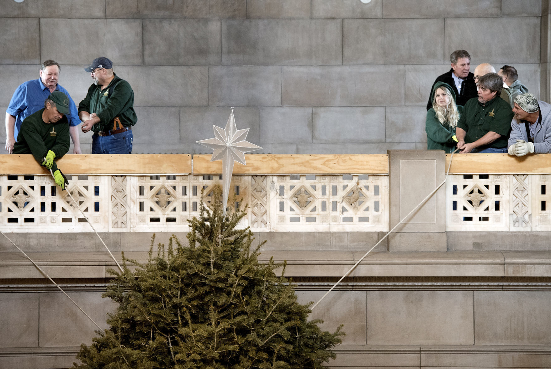 Capitol Christmas tree